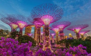 Сингапур – город будущего